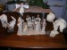 DSCN1250.JPG