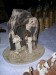 DSCN2005.JPG