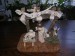 DSCN2377.JPG