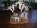 DSCN2381.JPG