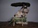 DSCN2448.JPG