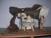 DSCN2464.JPG